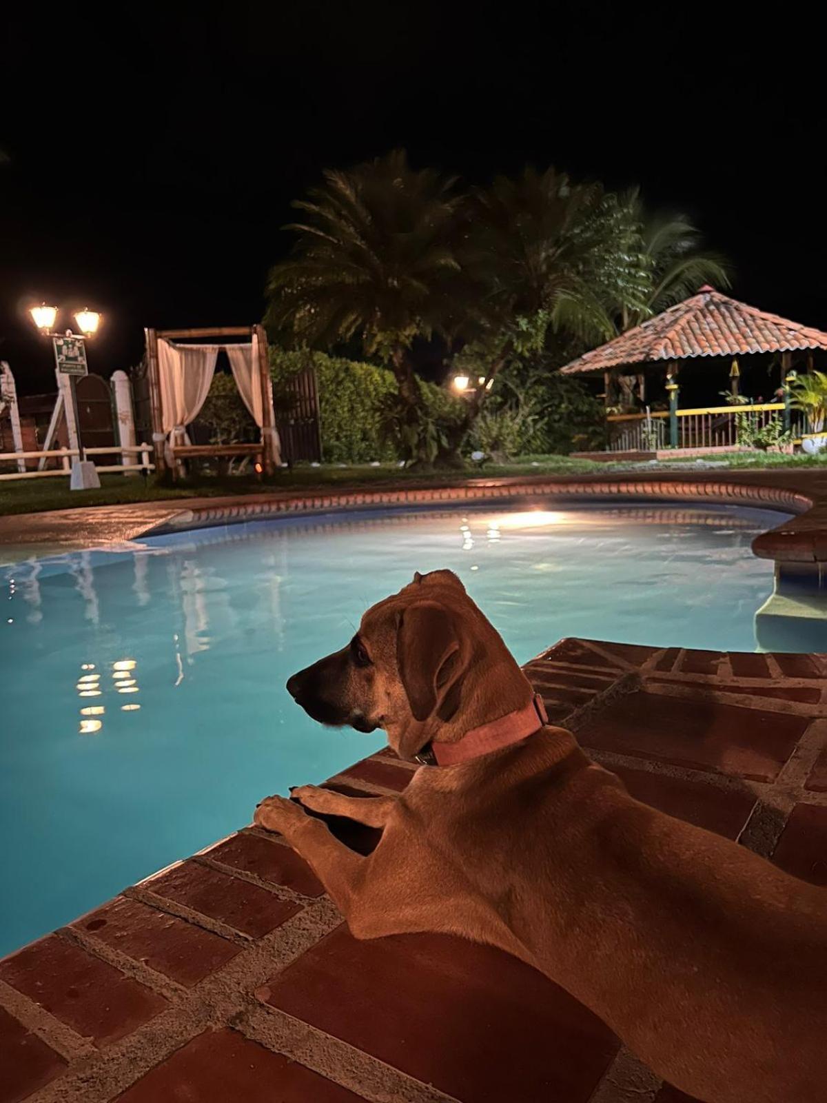 Casa Lemar Hotel Quimbaya Luaran gambar